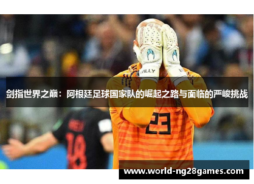 剑指世界之巅：阿根廷足球国家队的崛起之路与面临的严峻挑战