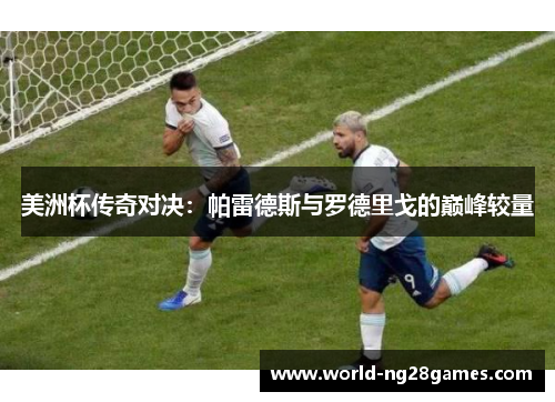 美洲杯传奇对决：帕雷德斯与罗德里戈的巅峰较量