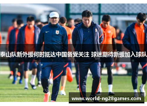 泰山队新外援何时抵达中国备受关注 球迷期待新援加入球队