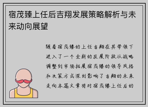 宿茂臻上任后吉翔发展策略解析与未来动向展望