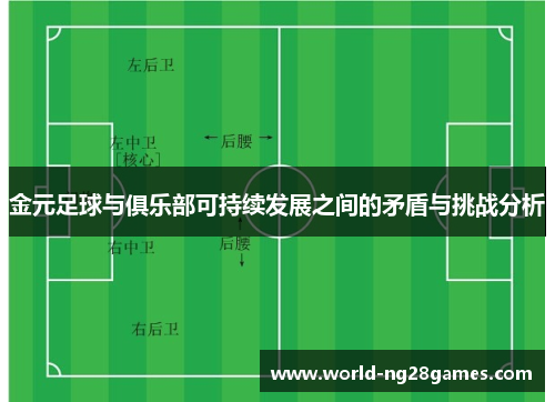 金元足球与俱乐部可持续发展之间的矛盾与挑战分析