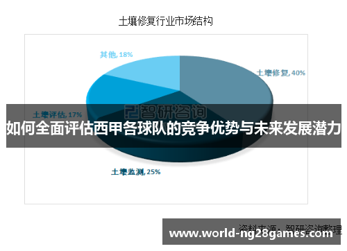 如何全面评估西甲各球队的竞争优势与未来发展潜力
