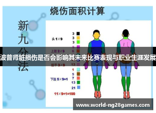 波普肾脏损伤是否会影响其未来比赛表现与职业生涯发展