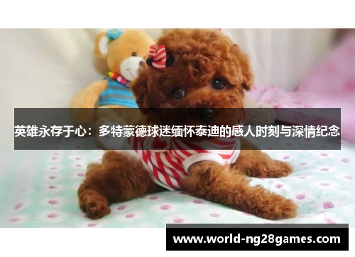 英雄永存于心：多特蒙德球迷缅怀泰迪的感人时刻与深情纪念