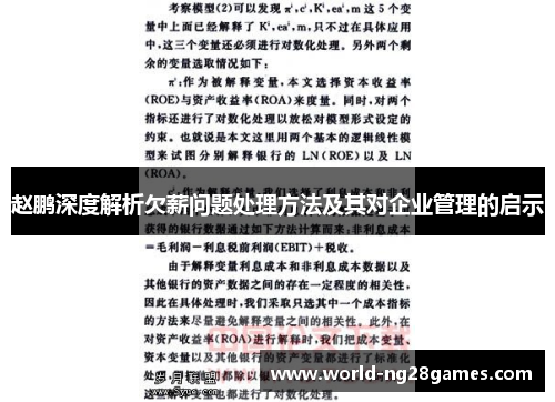 赵鹏深度解析欠薪问题处理方法及其对企业管理的启示