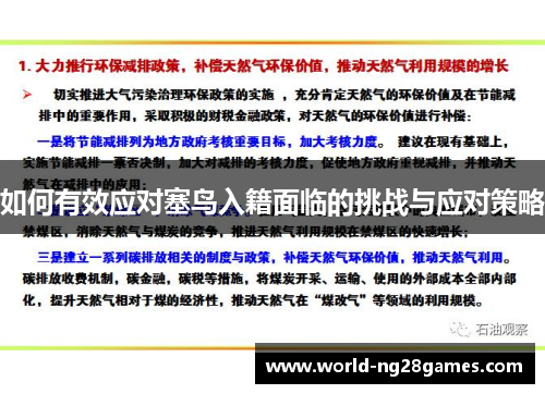 如何有效应对塞鸟入籍面临的挑战与应对策略