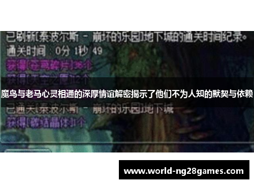 魔鸟与老马心灵相通的深厚情谊解密揭示了他们不为人知的默契与依赖
