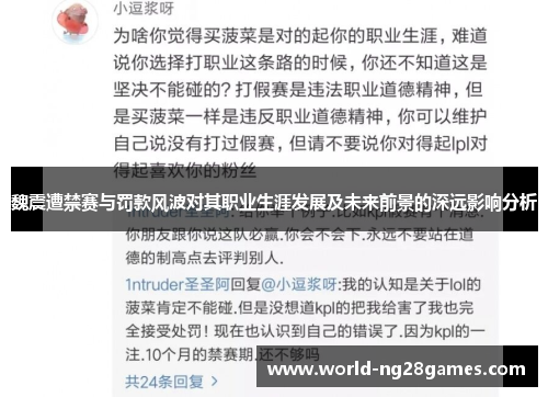 魏震遭禁赛与罚款风波对其职业生涯发展及未来前景的深远影响分析
