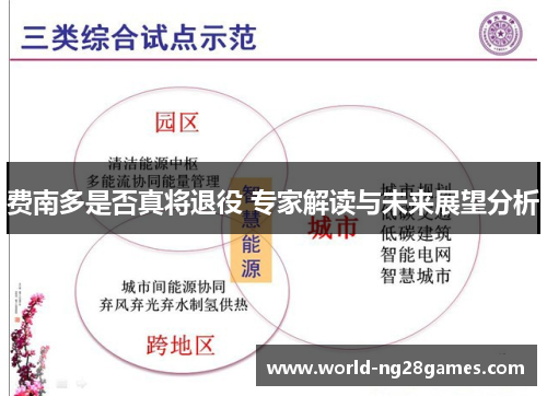 费南多是否真将退役 专家解读与未来展望分析